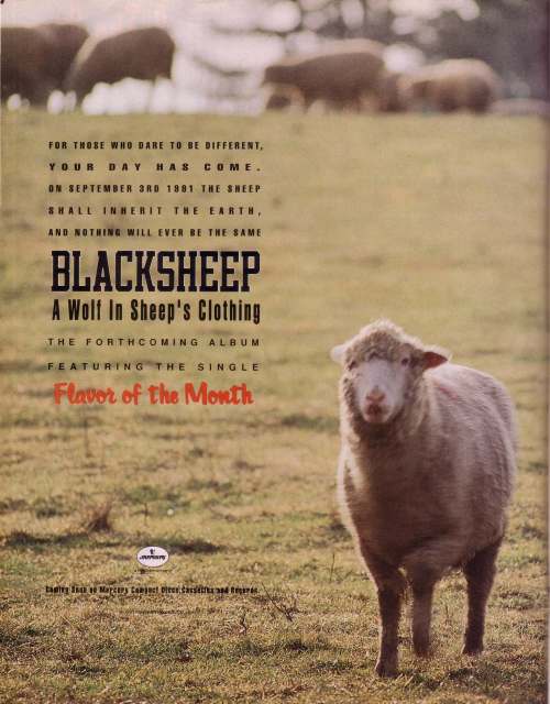 black sheep ad